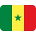 🇸🇳