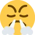 😤